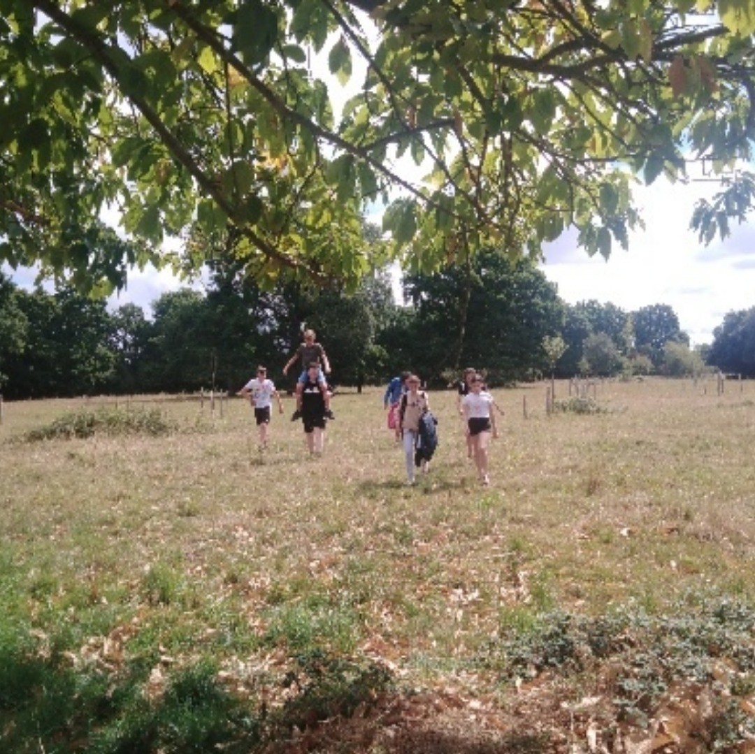 Les formations BAFA en 2026 !