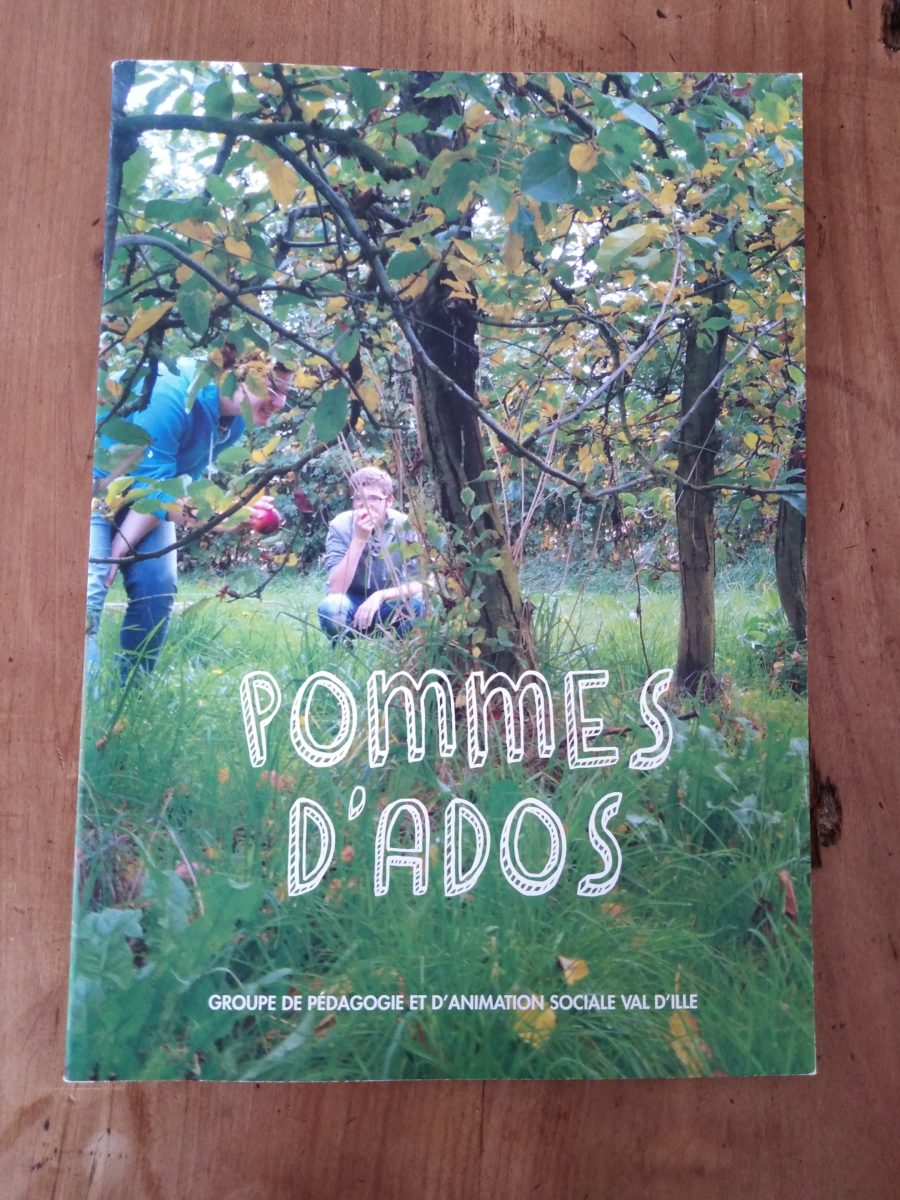 Pommes d’ados, 2017