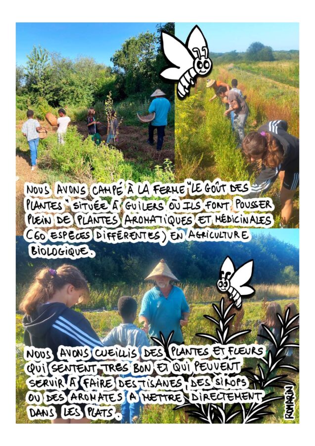 Mini camp - mission en partage - GPAS 2026_compressed_page-0006